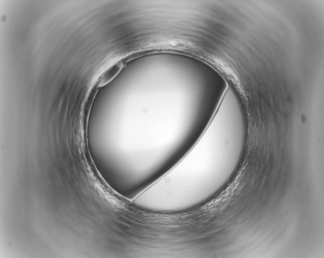X0000088170792200705150949