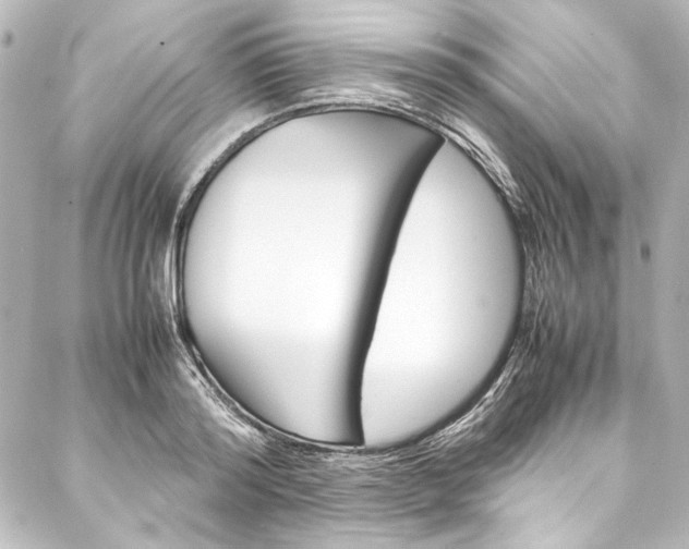 X0000088170796200705150949