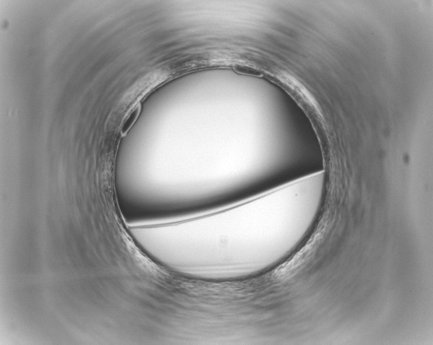 X0000088170801200705150949