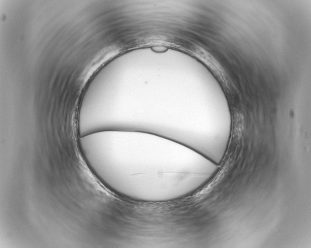 X0000088170806200705150949