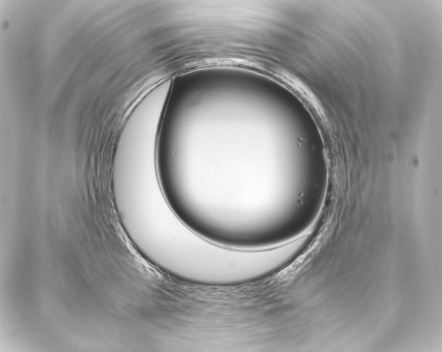 X0000088170809200705150949