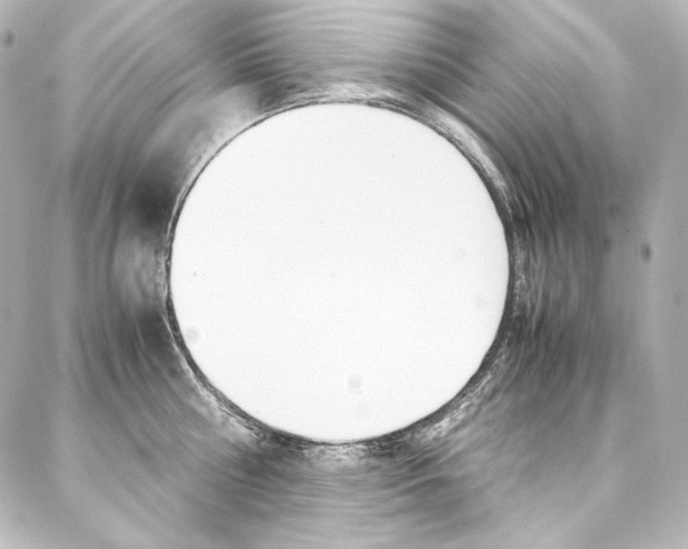 X0000088170810200705150949