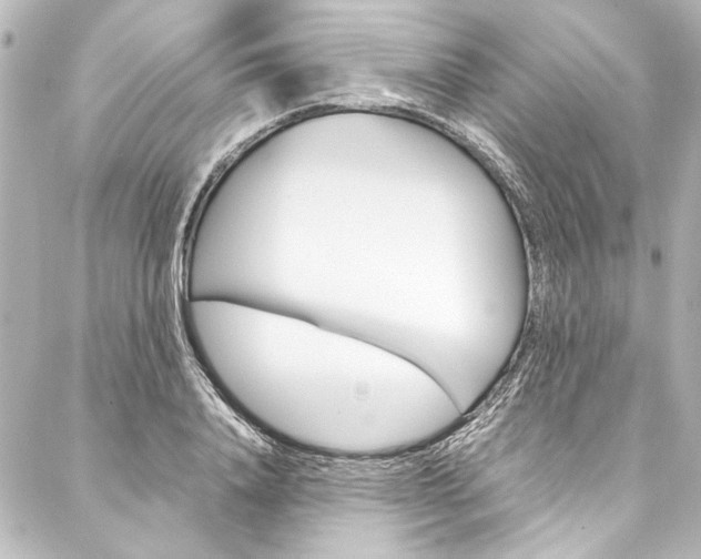 X0000088170840200705150948