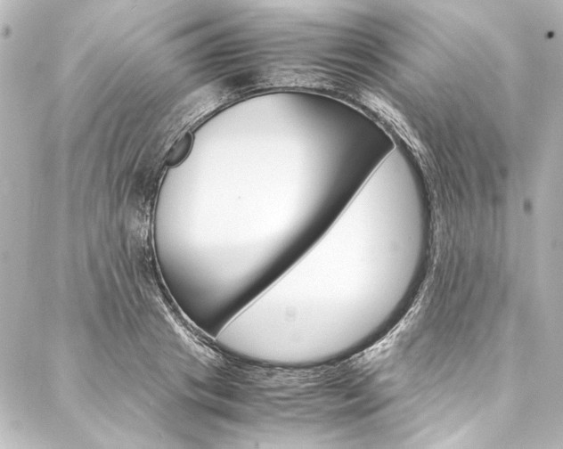 X0000088170841200705150948