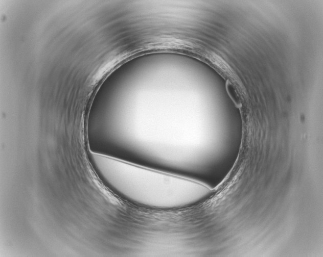 X0000088170842200705150948