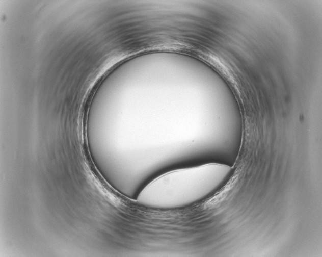 X0000088170843200705150948