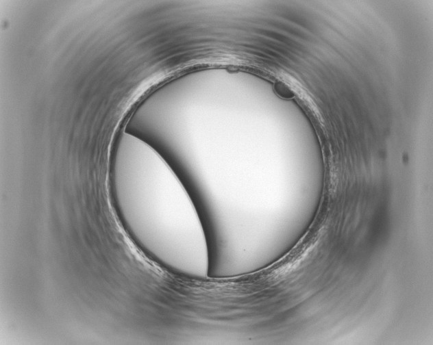 X0000088170845200705150948