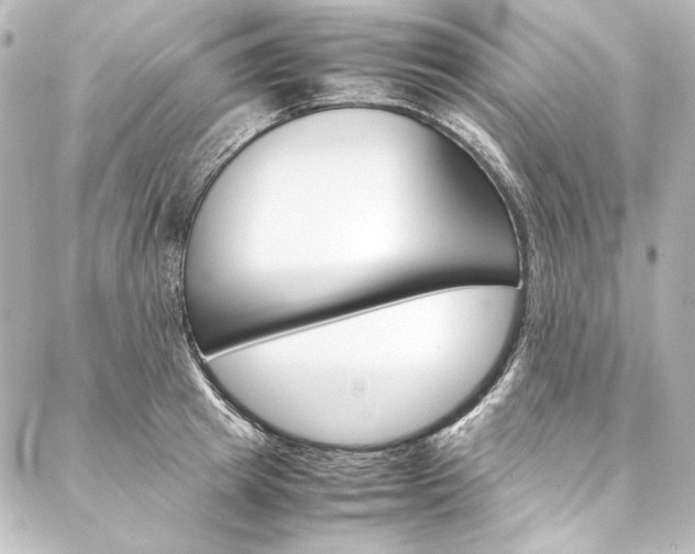 X0000088170849200705150949