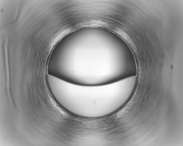 X0000088170850200705150949