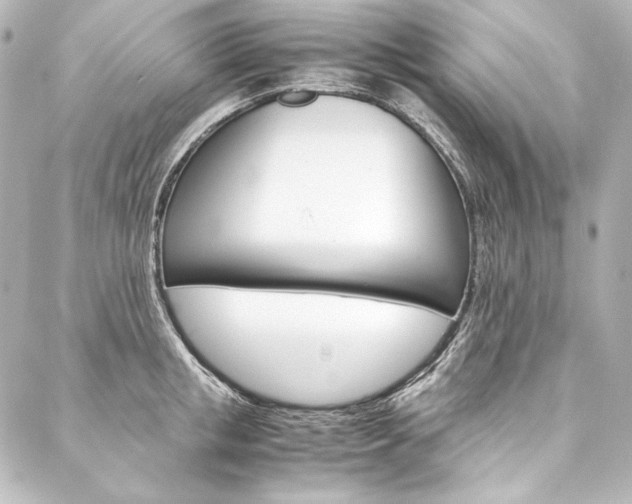 X0000088170853200705150949