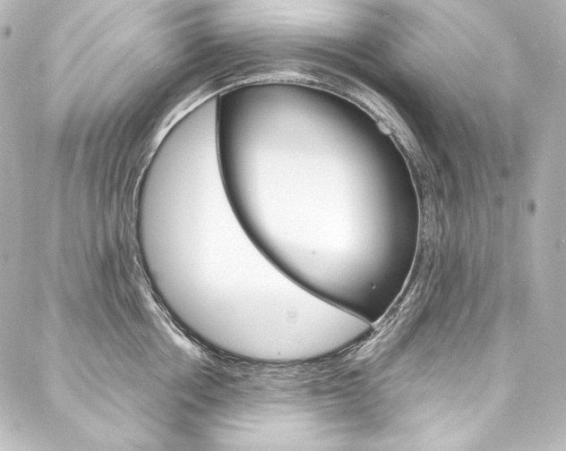 X0000088170858200705150949