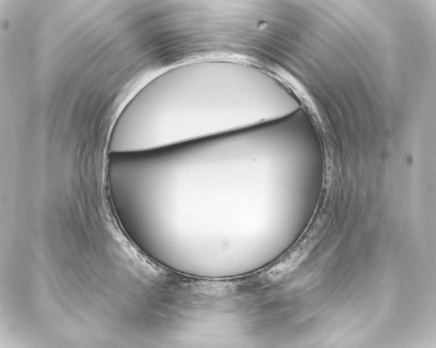 X0000088170860200705150949