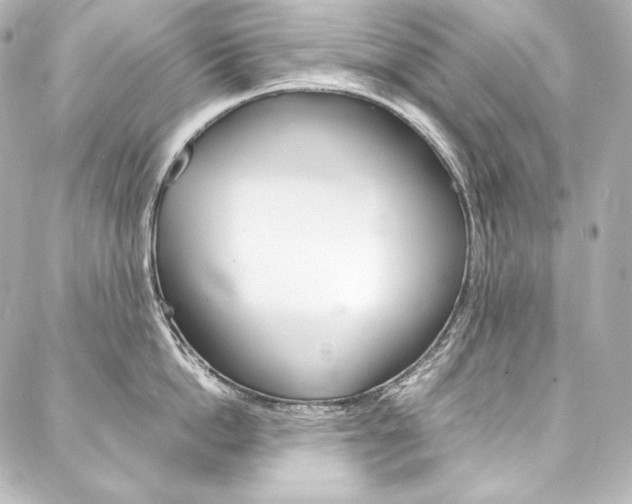 X0000088170862200705150949