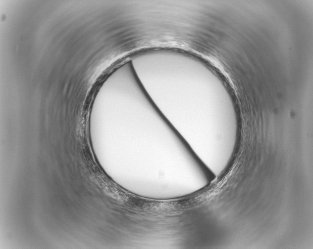 X0000088170879200705150948