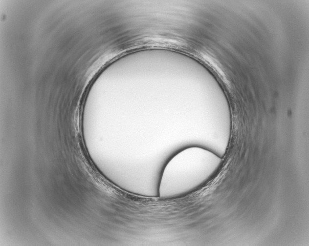 X0000088170891200705150948
