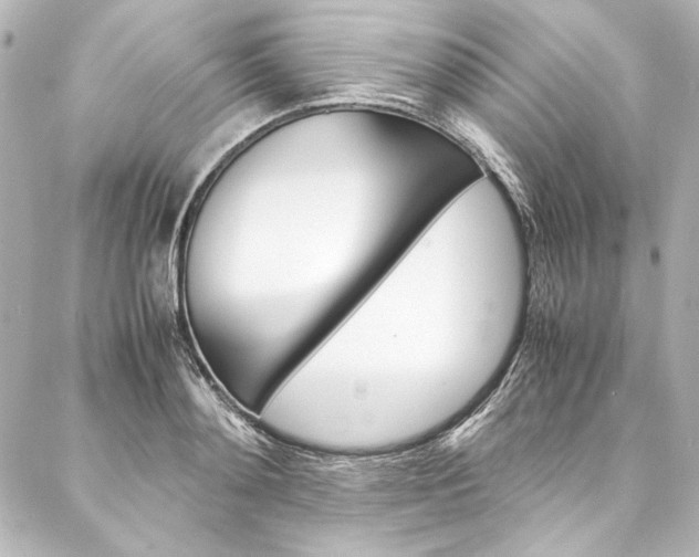 X0000088170892200705150948