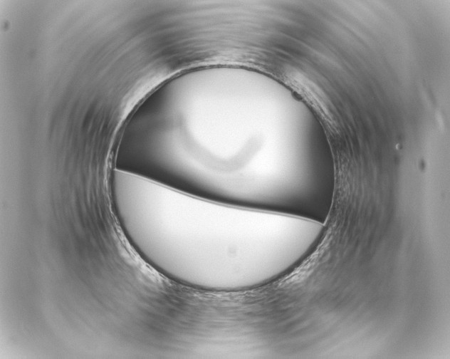 X0000088170900200705150947