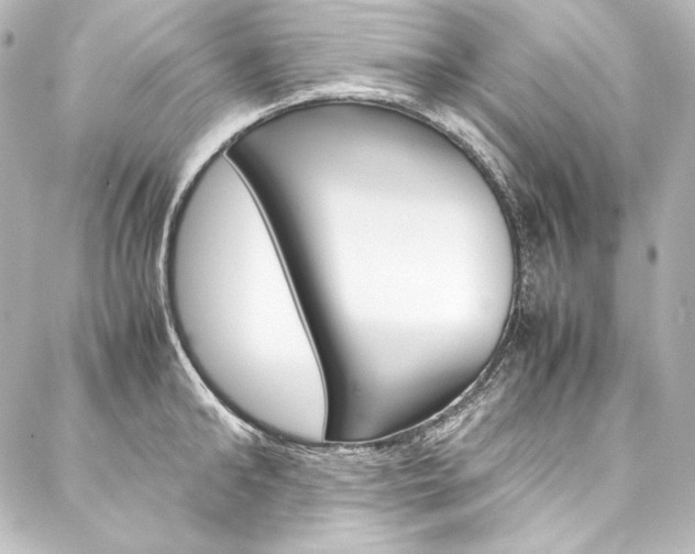 X0000088170902200705150947