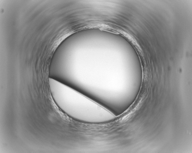 X0000088170905200705150947