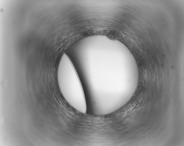 X0000088170914200705150946
