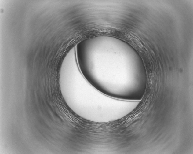X0000088170916200705150946