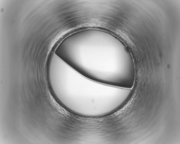 X0000088170934200705150947
