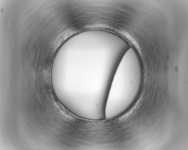 X0000088170937200705150947