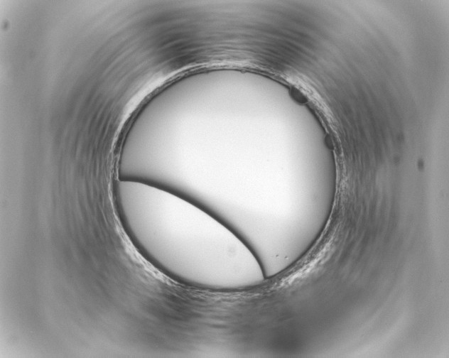 X0000088170941200705150947