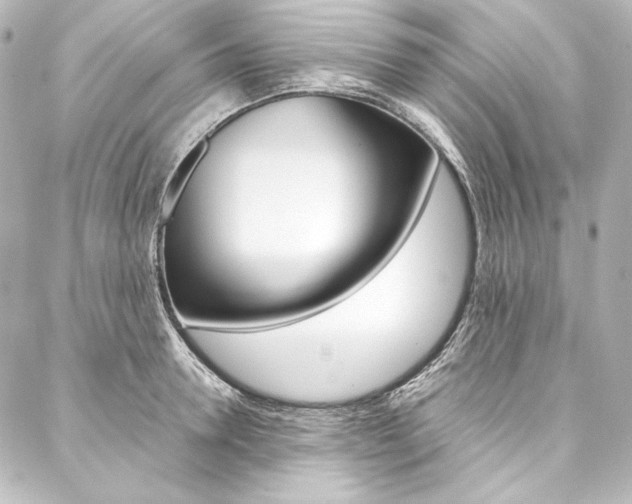 X0000088170946200705150947
