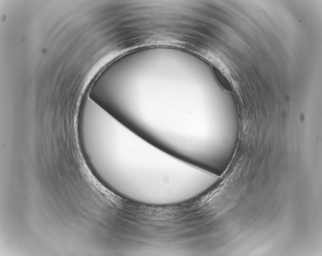 X0000088170947200705150947