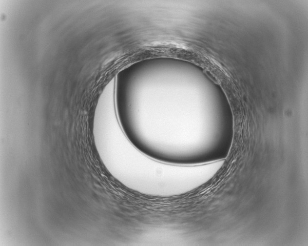 X0000088170965200705150946