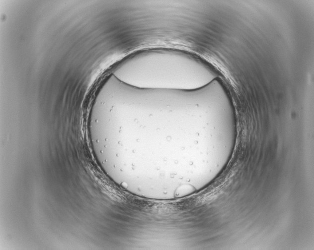 X0000088170974200705150946
