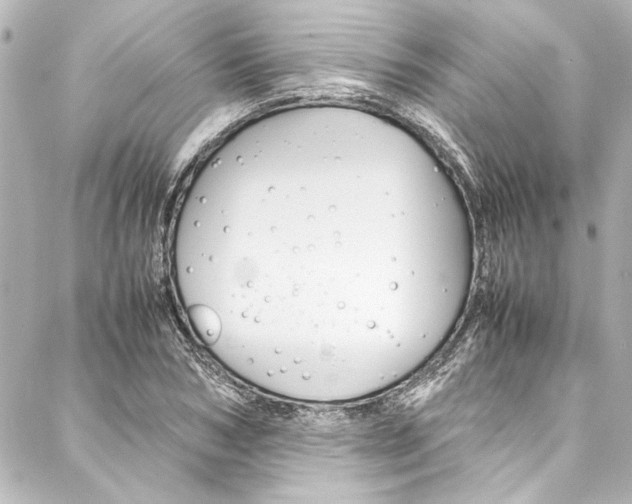 X0000088170978200705150946