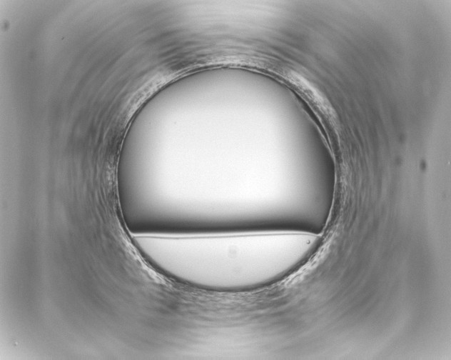 X0000088170993200705150946