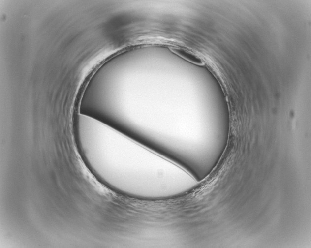 X0000088170995200705150946