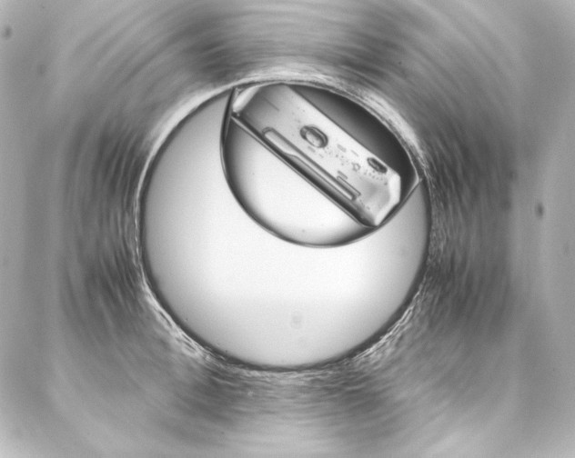 X0000088170996200705150946
