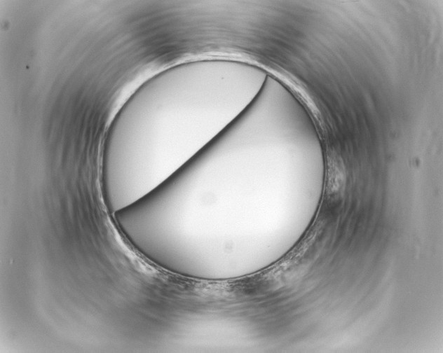 X0000088171006200705150946