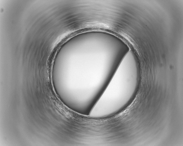 X0000088171022200705150945