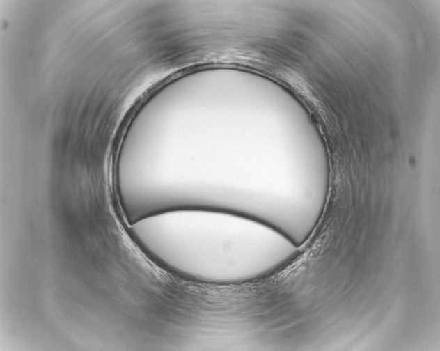 X0000088171032200705150945