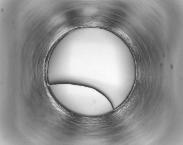 X0000088171039200705150945