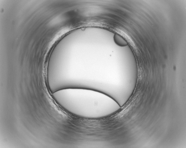 X0000088171043200705150945