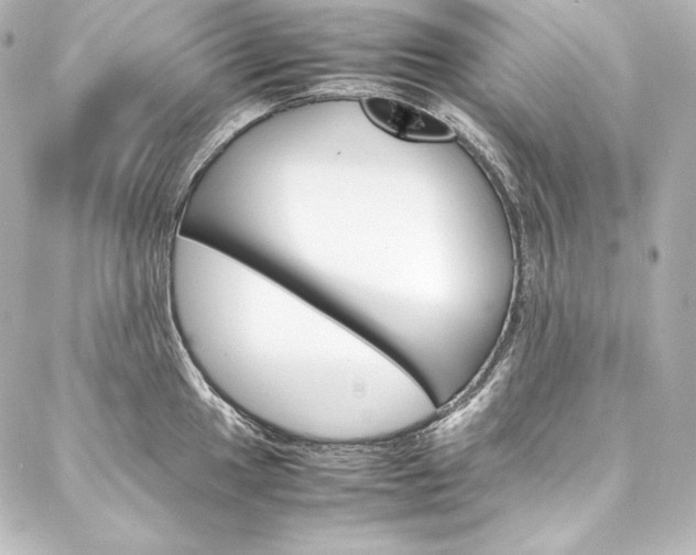 X0000088171049200705150946