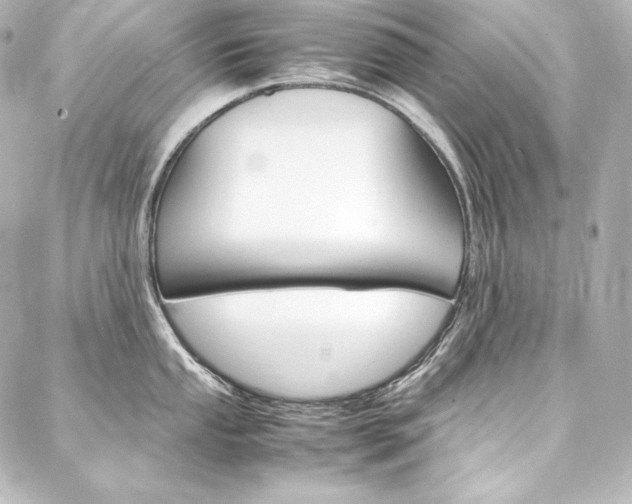 X0000088171053200705150946