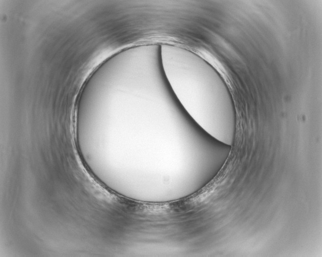 X0000088171055200705150946