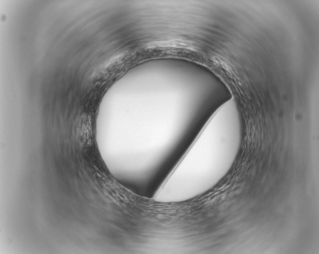 X0000088171062200705150945