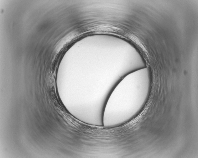 X0000088171067200705150945