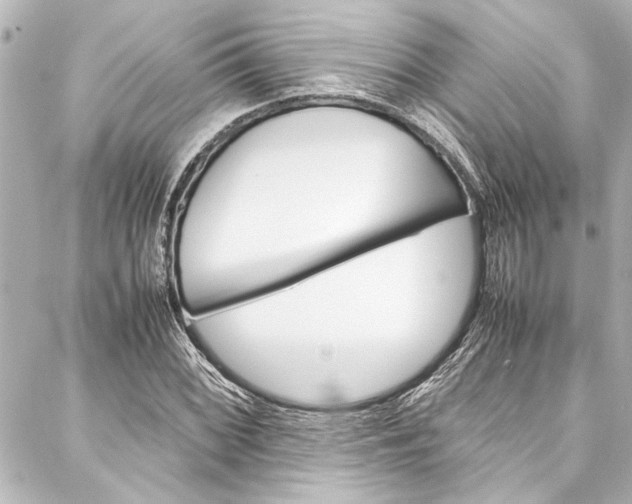 X0000088171068200705150945