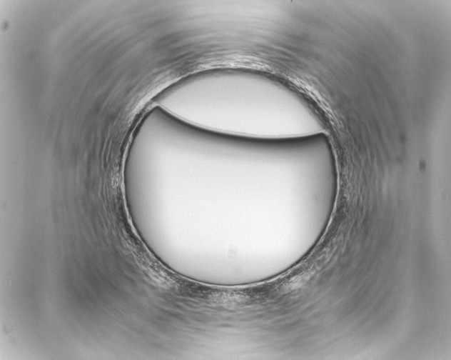 X0000088171073200705150945