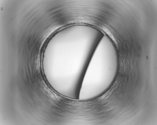 X0000088171076200705150945