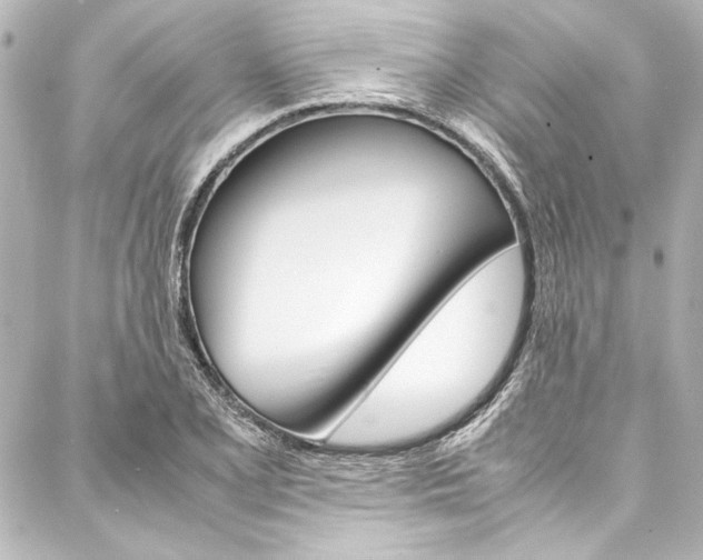 X0000088171077200705150945